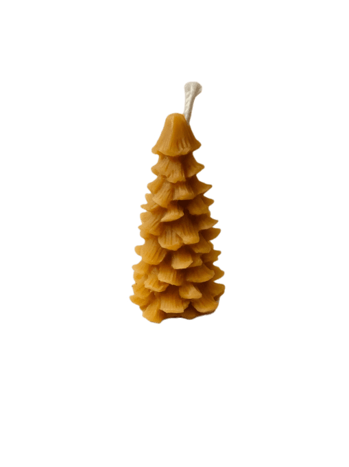 Bougie cire d'abeilles - Le sapin